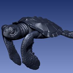 articulated_turtle_01.jpg Fichier STL tortue articulée imprimée en place, une seule pièce・Plan pour imprimante 3D à télécharger