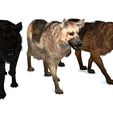 0_0064.jpg DOG DOG DOWNLOAD German Shepherd 3d model animated for blender-fbx-unity-maya-unreal-c4d-3ds max - 3D printing DOG DOG DOG WOLF POLICE PET HUNTER RAPTOR