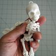 Skeleton_04.jpg Fully Articulated Human Skeleton 3D Print-In-Place STL Model Fidget Toy