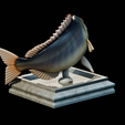 Dentex-trophy-10.png fish Common dentex / dentex dentex trophy statue detailed texture for 3d printing