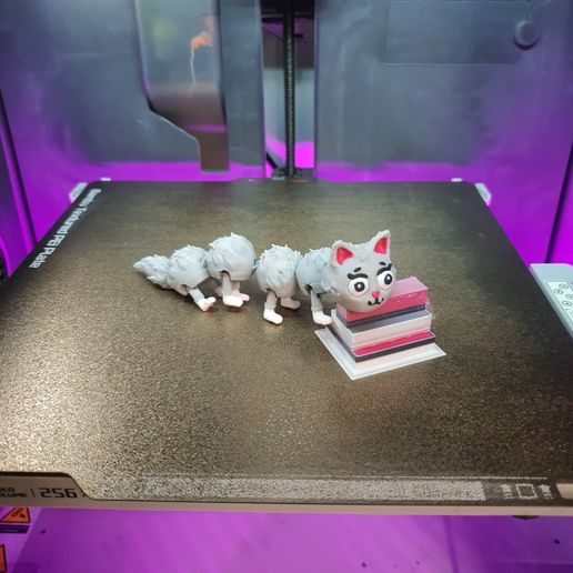 2024-04-29_9ec8aa83cbdbc.jpg Flexi Cat-erpillar a Cat Caterpillar