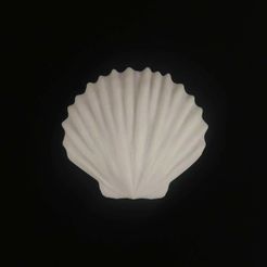 416897945_394223833141459_73438028123350969_n.jpg Sea Shell Clam(s)