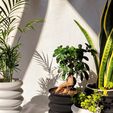 1665909579511.jpg OMEGA Planters