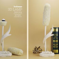 nee ie re iF Setaria lamp