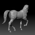 horse_6.jpg 3D Horse model for 3D printing