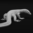 Pose12-min.png Asian Water Monitor - Realistic Lizard Reptile - Varanus Salvator