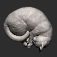 sleeping_cat6.jpg Sleeping cat 3D print model