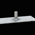 golden-dorado-statue-box-1-24.png fish golden dorado / Salminus brasiliensis with storage space / for 3d printing