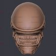 17.jpg Alien Xenomorph Mask - Halloween Cosplay