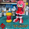 6.jpg Flexi Amy Rose - Sonic - Print In Place