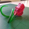 IMG_20210224_172302.jpg "Mammoth Skull" : 3D file for sale