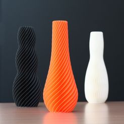 IMG_8031.jpg Archivo STL gratis SPIRAL vase・Plan imprimible en 3D para descargar