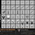 60-VDM-and-Alpha-Hair-and-Fur-Brushes-for-ZBrush-Sculpted-By-Yacine-BRINIS-Volume-01-Set-005.jpg 60 VDM and Alpha Texture Hair and Fur Brushes Volume 01