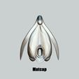 clitoris_Matcap.jpg 3D file Clitoris Anatomy - Resting Clitoris・3D print design to download