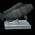 White-grouper-open-mouth-1-9.png fish white grouper / Epinephelus aeneus trophy statue detailed texture for 3d printing