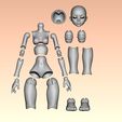 8.jpg Liam - STL 3D Kit Printed Ball Jointed Doll Base - PLA filament /SLA Resin Compatible files