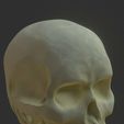 Screenshot_2023-11-02-19-02-30-565_com.stephaneginier.nomad~2.jpg Skull Sculpt