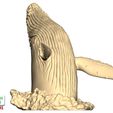 Humpback-Whale-Head-off-the-Water-1.jpg Humpback Whale Head off the Water 3D printable model