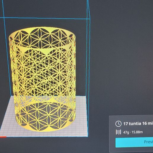 20240824_215937.jpg Flower of life 3. lampshade