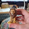 Lion6.jpg Lion