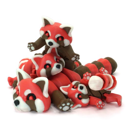 DSC02053.jpg Red Panda