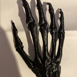 Human Hand Bones Hanger