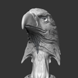04.png Bald Eagle Head AM07 3D print model
