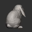 rabbit-ram12.jpg Rabbit ram 3D print model
