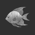 mnjk.jpg tropical fish cnc 3d base relife model