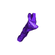 Tibia_Left_Part_01.OBJ OBJ file Life size baby T-rex skeleton - Part 03/10・3D printing model to download