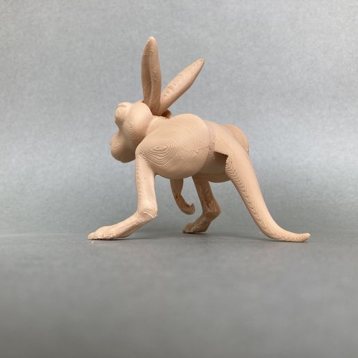 IMG_9695.jpg 3D file Jumping kangaroo・Model to download and 3D print, ergio959