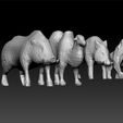 lo2.jpg Low poly animals pack for game unity3d and ue5
