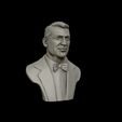 23.jpg Cary Grant bust sculpture 3D print model