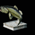 Bass-trophy-13.png Largemouth Bass / Micropterus salmoides fish in motion trophy statue detailed texture for 3d printing