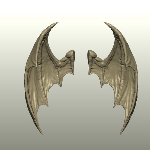 010-1.jpg Fantasy Creature Wing 10