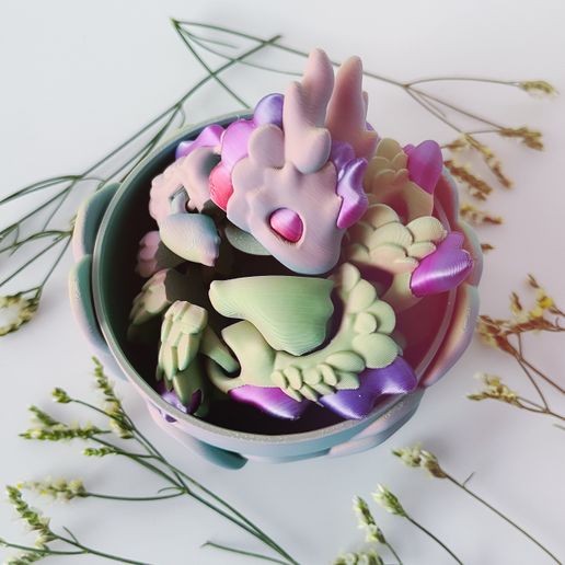 20240221_221422134_iOS.jpg Kaida And Egg