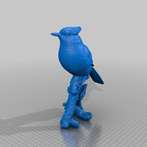 f638f0407dcc03ede9a109db3f2f5efb.png a bird