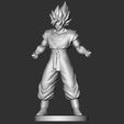 Front_bw.jpg Super Saiyan Goku
