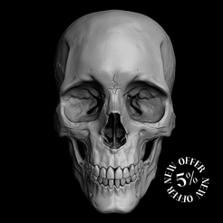 Skull_NewOfferl.png Human Skull