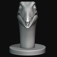 Archaeornithomimus_Head.png Archaeornithomimus HEAD FOR 3D PRINTING