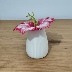 IMG20231116125424.jpg Flower Vase