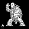2.jpg Tortuga Ninja (Banda Desenhada) (Primero)
