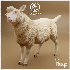 Peep1b.png Peep the Sheep