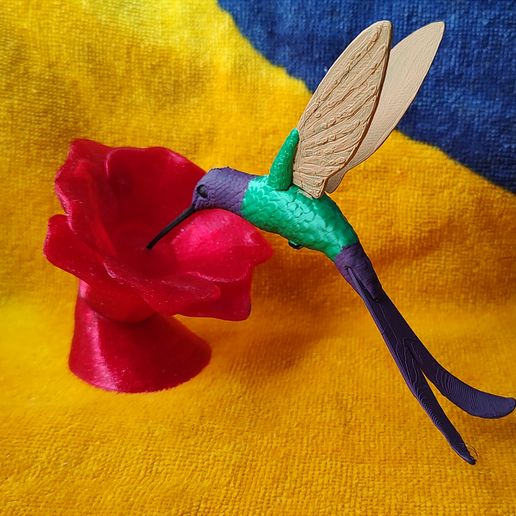 IMG_20240701_150750779.jpg Kolibri