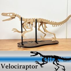 Velociraptor Free STL file [3Dino Puzzle] Velociraptor・3D printer design to download