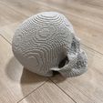 IMG_3835.jpg Pixelated Skull