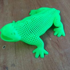 Лощина Драуди