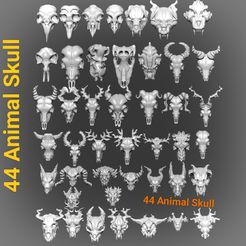 IMG_20220904_022751.jpg 44 Animal Skull STL File(zip)