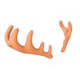 Deer_1.jpg Deer Antler