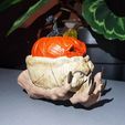 IMG-292ba8a5d7065af40a4af049375cc9e9-V-01.jpeg Halloween decoration pumpkin skull